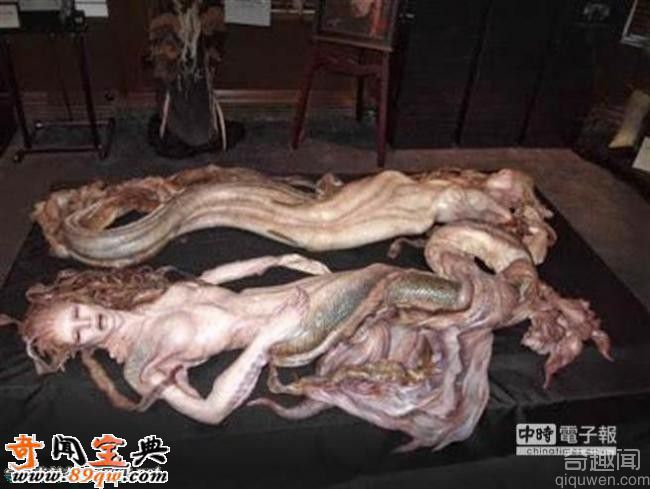  澳洲海滩渔民发现美人鱼尸体 神秘传说再度引爆