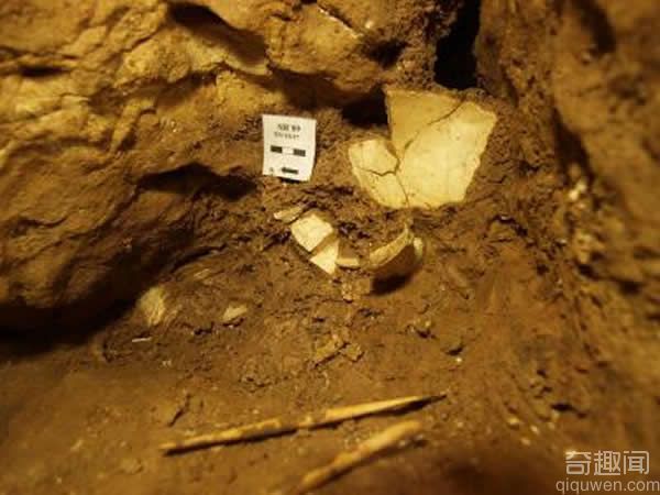 西班牙洞穴遗址让科学家更好地理解古人类在中更新世的演化