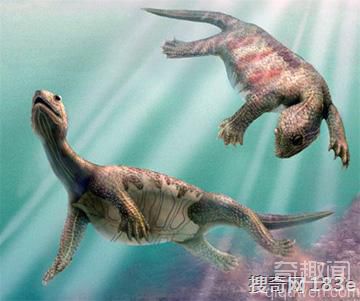 在恐龙之前，十种远古异兽
