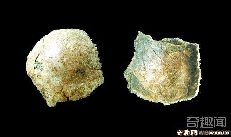 [图文]中国发现距今8万至10万年人类头盖骨化石