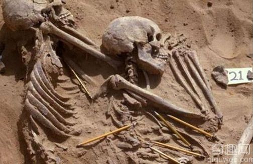 科学家发现距今约一万年的种族冲突遗骸 被使用石尖弓箭杀死的