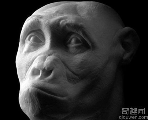 利用先进技术还原数百万年前人类祖先头像真面目