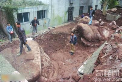 四川一古宅挖出20吨重“螃蟹蟾蜍”形状巨石