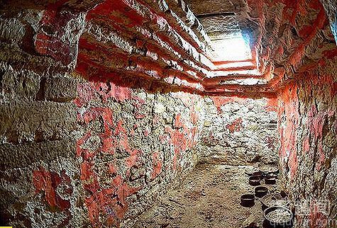 探索神秘玛雅古墓