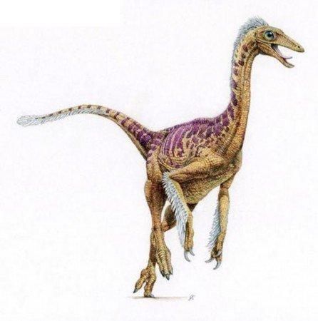 中国最著名恐龙化石盘点 中国百年十大最著名恐龙有哪些