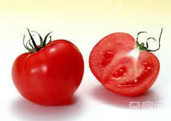世界上第一个吃西红柿的人--罗伯特【组图】