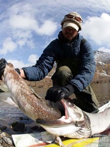千岛湖巨型青鱼重达180斤 比人还高