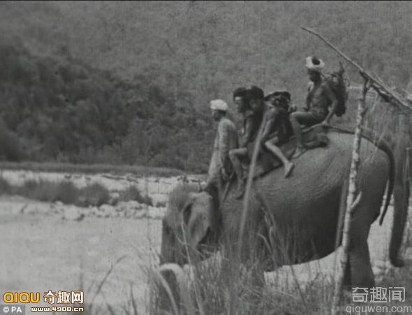 揭秘二战英国“象人”吉尔斯·马克雷尔：用象群拯救数百名难民