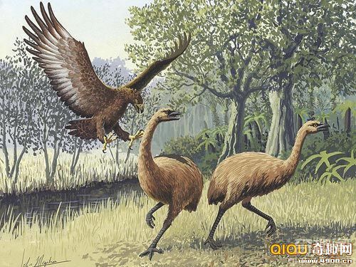 [图文]揭秘曾统治天空的几种远古飞行动物有哪些？