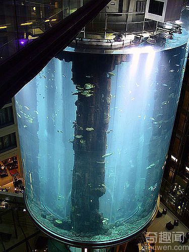 世界上最大的圆柱水族馆 位于柏林的拉迪森酒店