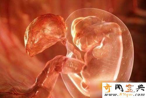超高倍显微镜下受孕全过程 感叹生命之神奇与伟大