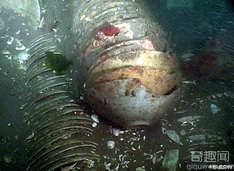 [图文]韩渔民捕捞章鱼时发现宝藏 30个12世纪的青瓷碗