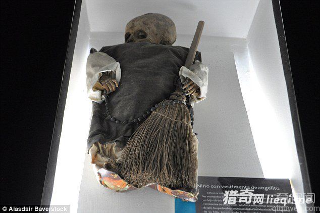 墨西哥最恐怖的尸骨博物馆 每周大约拥有4000名游客