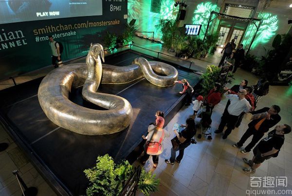 科学家复原超级史前巨蟒：15米长重1吨吞鳄鱼