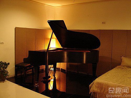 世界上最贵的钢琴是“蓓森朵芙”【组图】