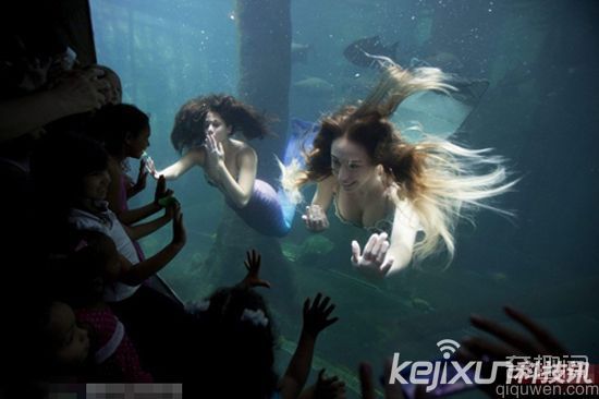 美国佛州公园水下剧场 “美人鱼”表演 中国也有美人鱼表演