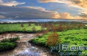 中国十大湿地 想不想去看一看