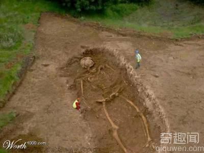 考古发现巨人骨骸 体型巨大惊人
