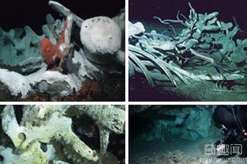 不为人知的神秘海底坟墓 看看那些长眠于大海中的人类遗骸吧