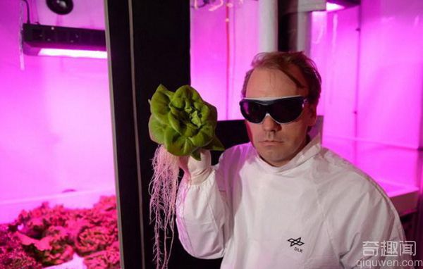 科学家拟建“太空花园”用尿液种植新鲜蔬菜