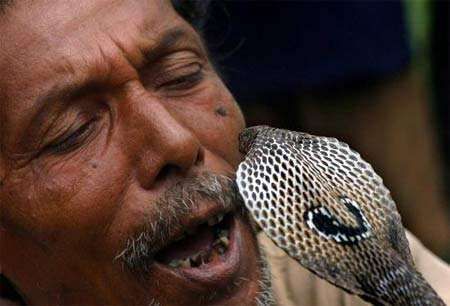 印度小哥吸毒蛇，被咬之后超开心!