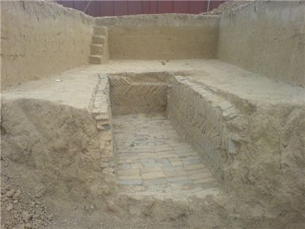两千年的西汉古墓，竟然挖出了一只活乌龟，考古队都惊呆了