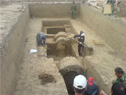 两千年的西汉古墓，竟然挖出了一只活乌龟，考古队都惊呆了