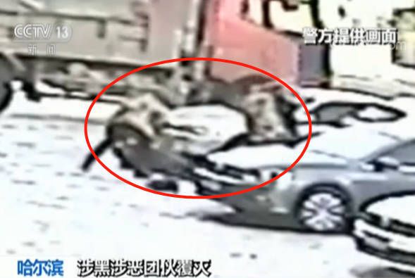 黑龙江一镇党委委员私藏枪支 暴力伤害上访人员