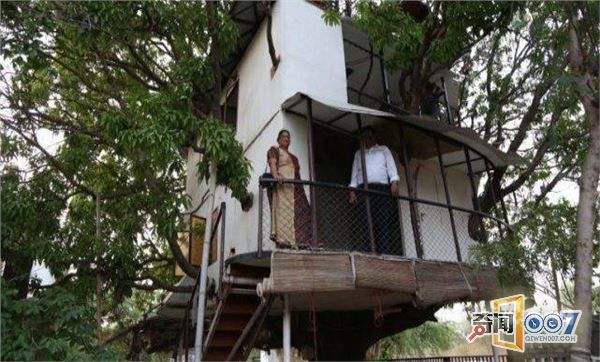 男子在芒果树上建出4层楼高的树屋，游客们排队来参观