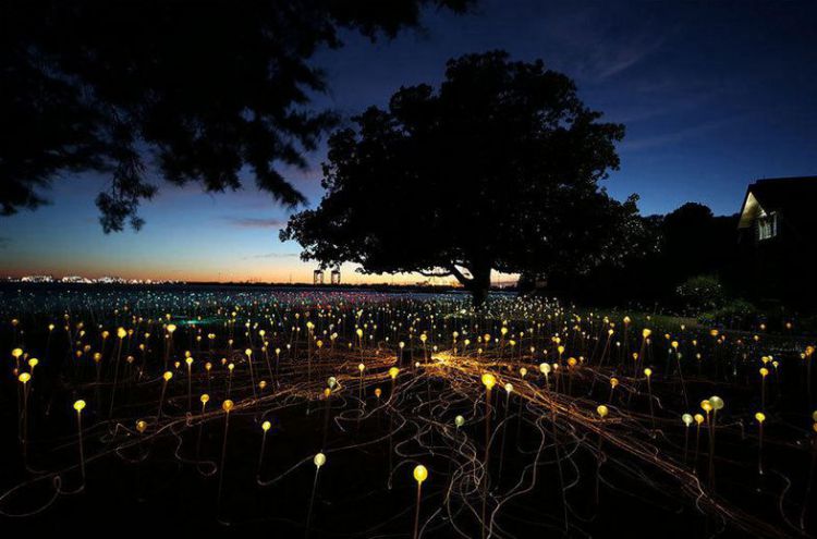 艺术家用5万盏灯点亮沙漠宛如童话仙境