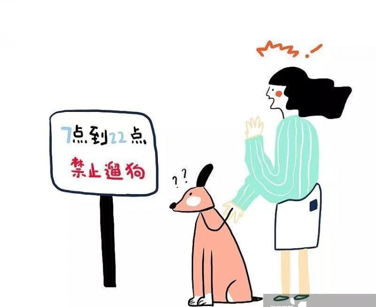 每天7点到晚10点禁止遛狗？云南文山的官方回应来了