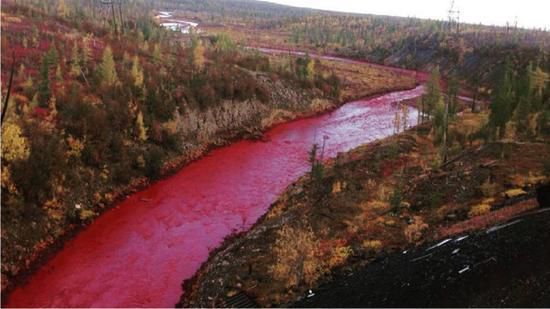 俄罗斯出现“血河”！村民不敢靠近，专家检测后这么说