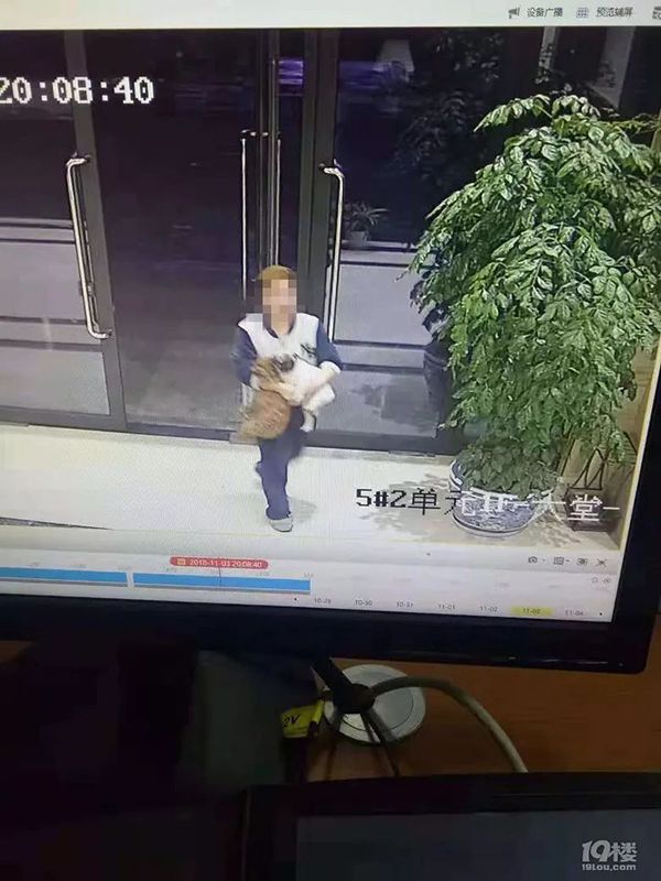 杭州女子为护子被遛狗不牵绳男子打致骨折，警方已传唤打人者