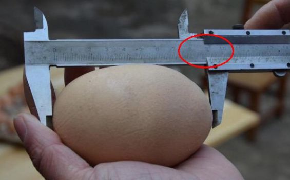 农村大姐家鸡生了怪蛋，把鸡蛋打到碗里，发现鸡蛋里面还有鸡蛋