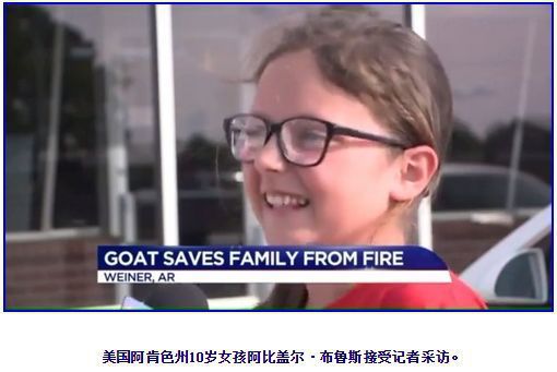 女孩生日，礼物里有一只山羊救了她全家的命，网友：供起来