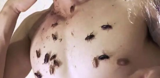 男子作死买来1万只蟑螂，并让它爬到身上，网友评论炸了