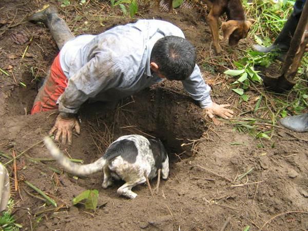 男子野外发现一洞之后开始不停挖掘，结果挖出的东西让他兴奋不已