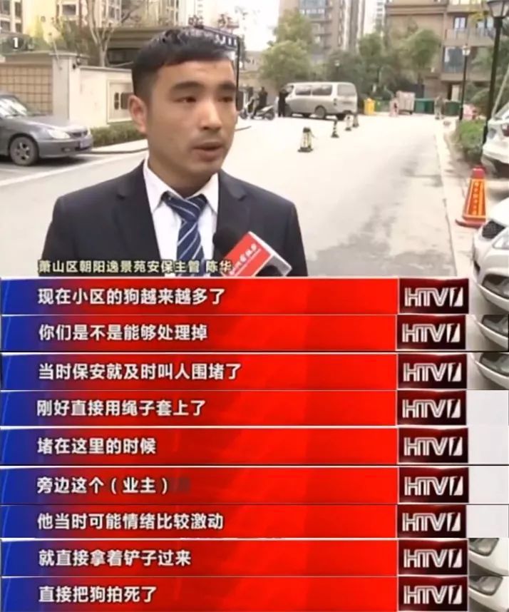 网传6秒视频疑似杭州城管打狗？造谣真相让人气愤！