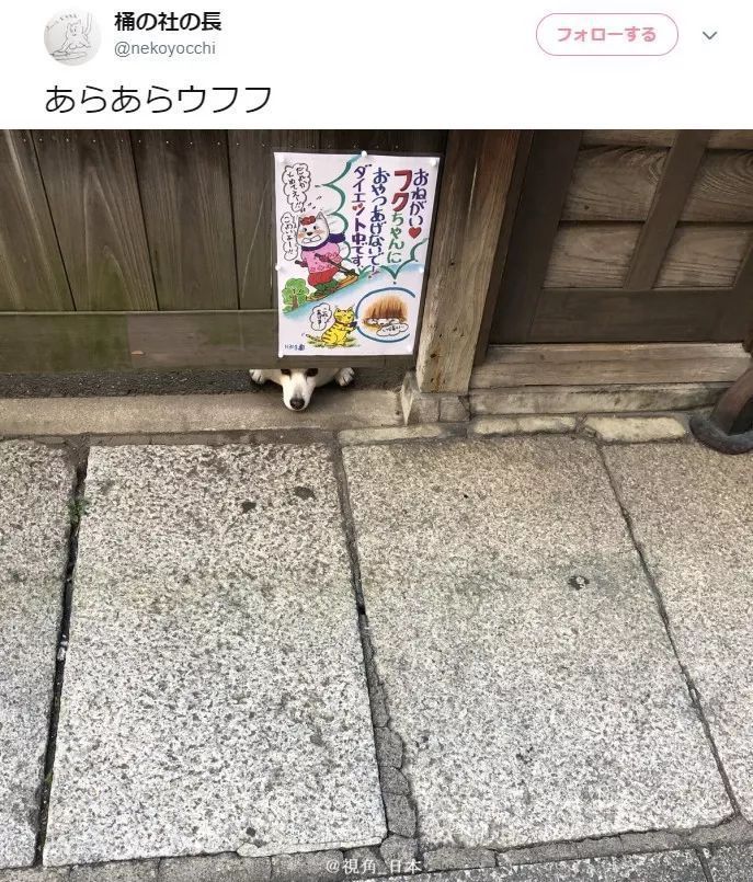 今日趣闻 北野武表彰东京电视台坚持做自己（爆笑） & 比男友还体贴的猫 等