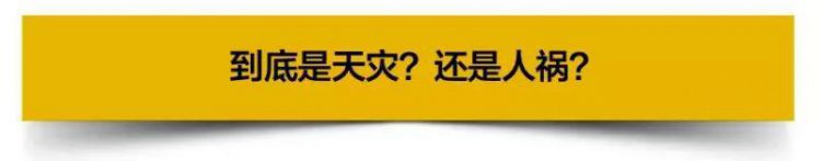 74人死1000人失踪，旧金山变寂静岭，加州大火是天灾还是人祸？