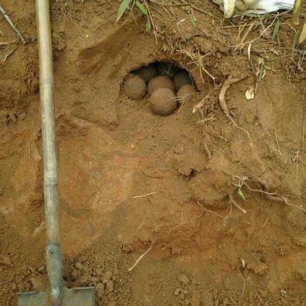 男子挖地基挖到了几个泥球，铲开泥球看到里面，村民不淡定了