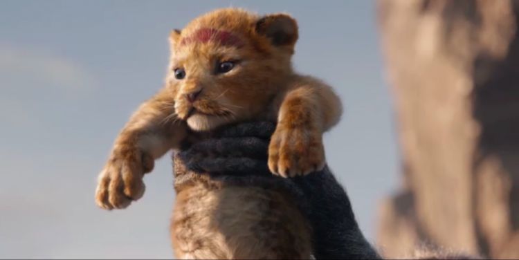 真人版《狮子王》首发预告片，刚出生的小辛巴把人萌化