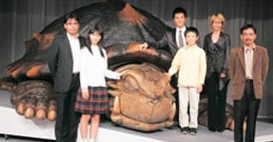 日本山中惊现大乌龟，看到乌龟的表情，网友纷纷质疑