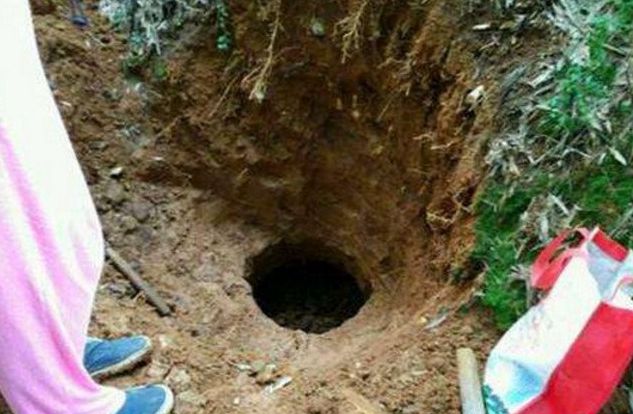 农民在山上发现一个洞，以为是“老鼠洞”，挖开看到里面乐了