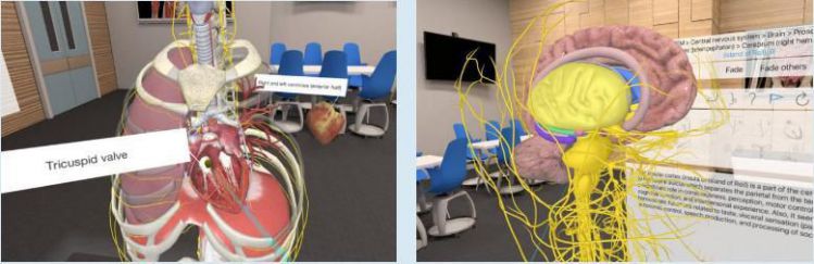 台北医学大学联合HTC旗下健康医疗团队DeepQ成立VR解剖学教室