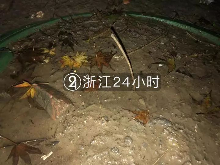 杭州孕妈坠亡窨井！居民自发摆鲜花悼念，这场悲剧谁来负责？