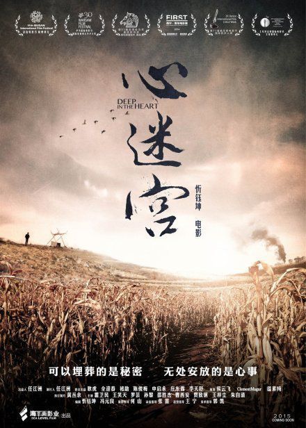 豆瓣8.7分国产片心迷宫将拍续集，导演不再是忻钰坤