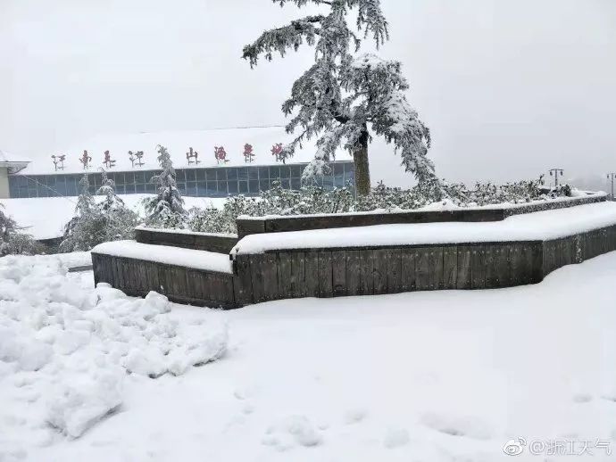 官宣！杭州主城区下雪啦！结果……代堆雪人50元了解一下