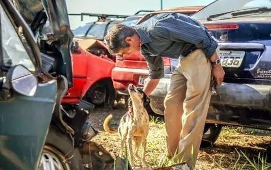 一恶犬霸占着一辆废弃汽车，不让人靠近，背后原因让人流泪