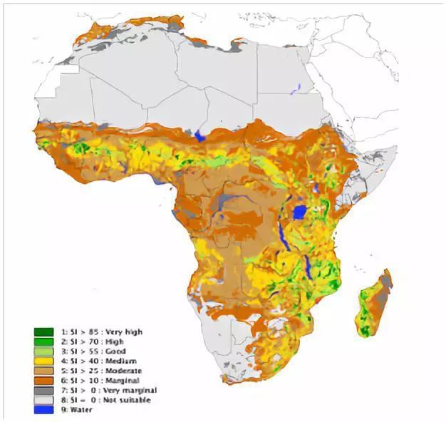 当高产成为劫难──美洲作物究竟为非洲带来了什么
